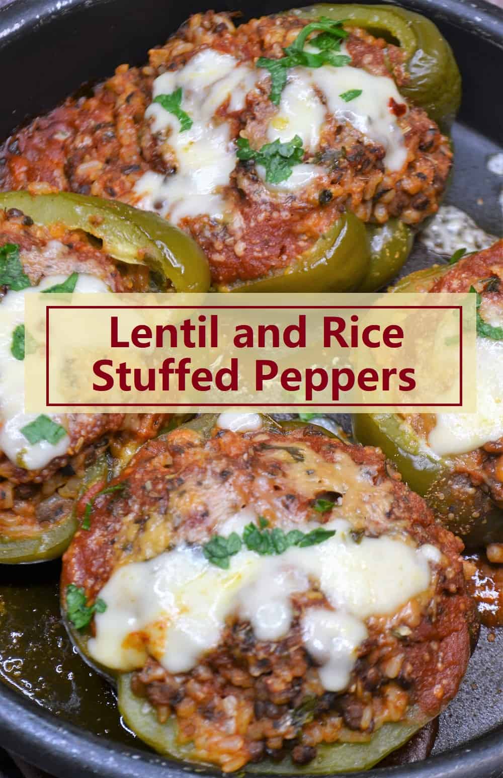 Vegetarian Stuffed Peppers with Lentils and Rice