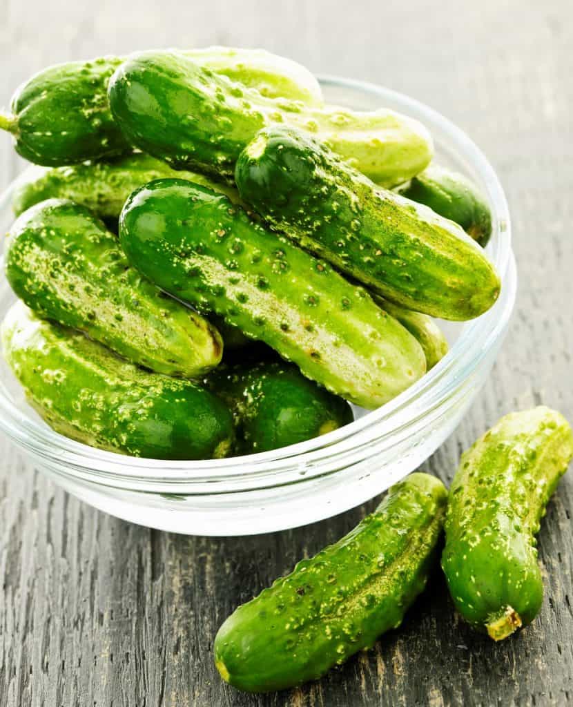 cucumbers used to make refrigerator pickles