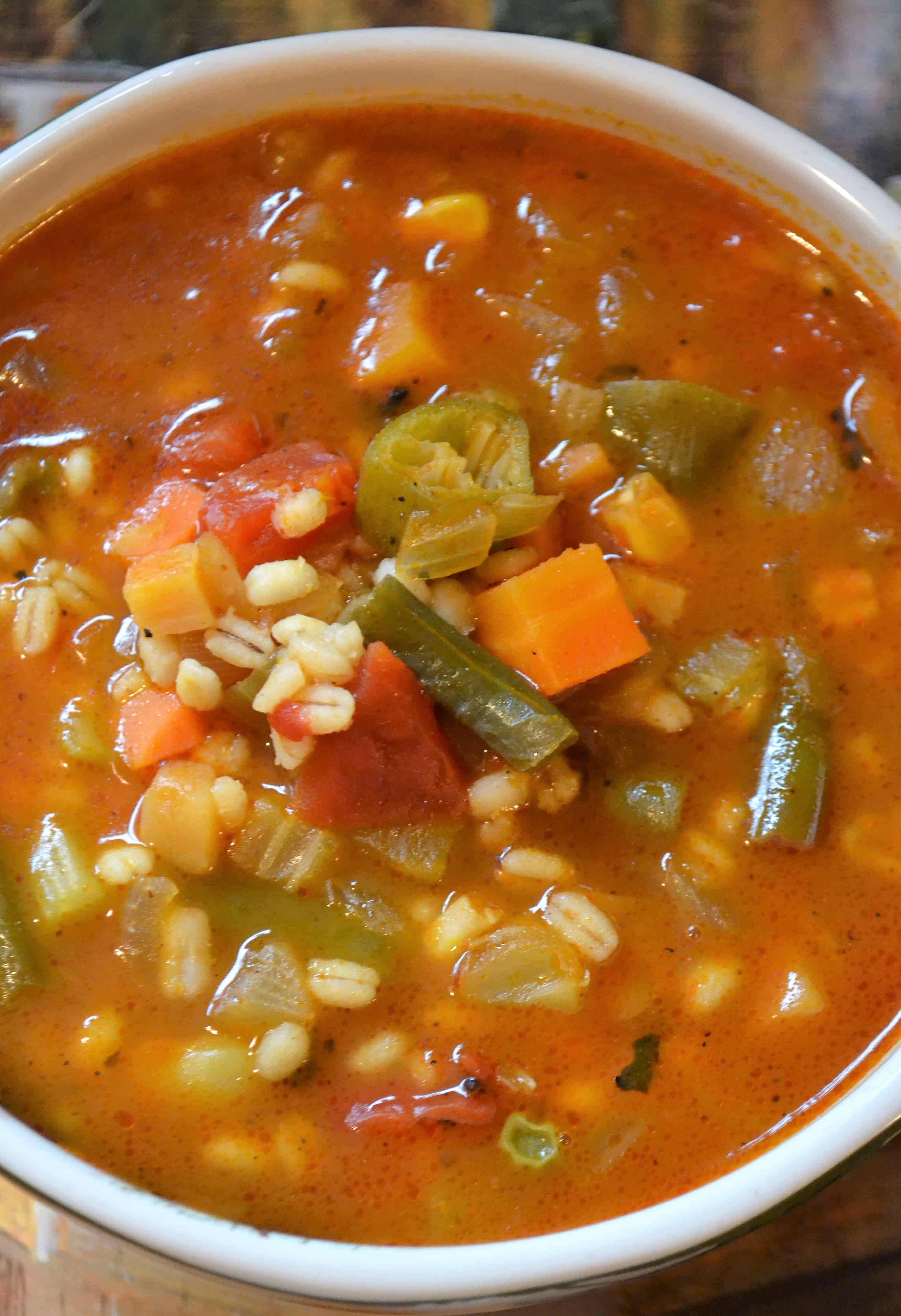 Vegetable Barley Soup Recipe - Super Quick & Easy - Power Quick Pot
