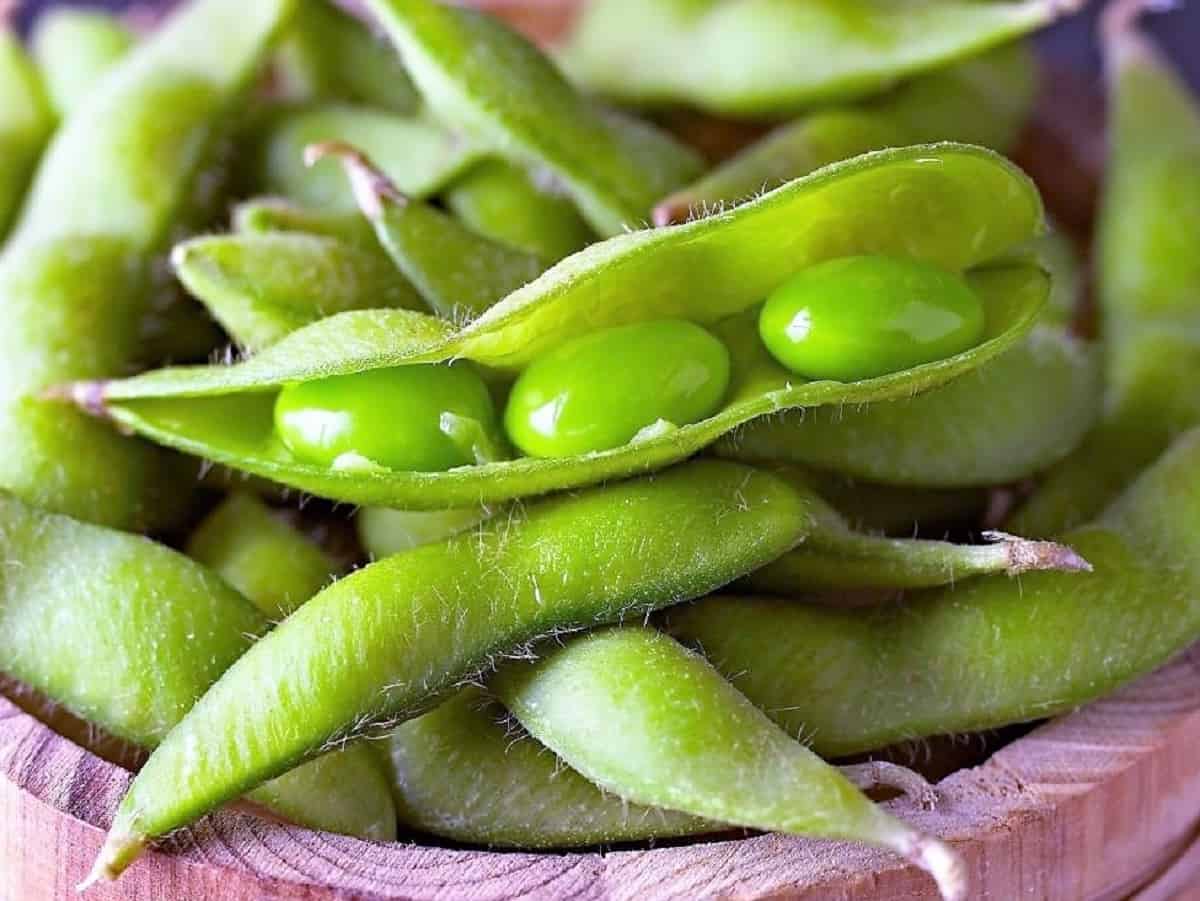 Steamed Edamame with Everything Bagel Seasoning Jersey Girl Cooks
