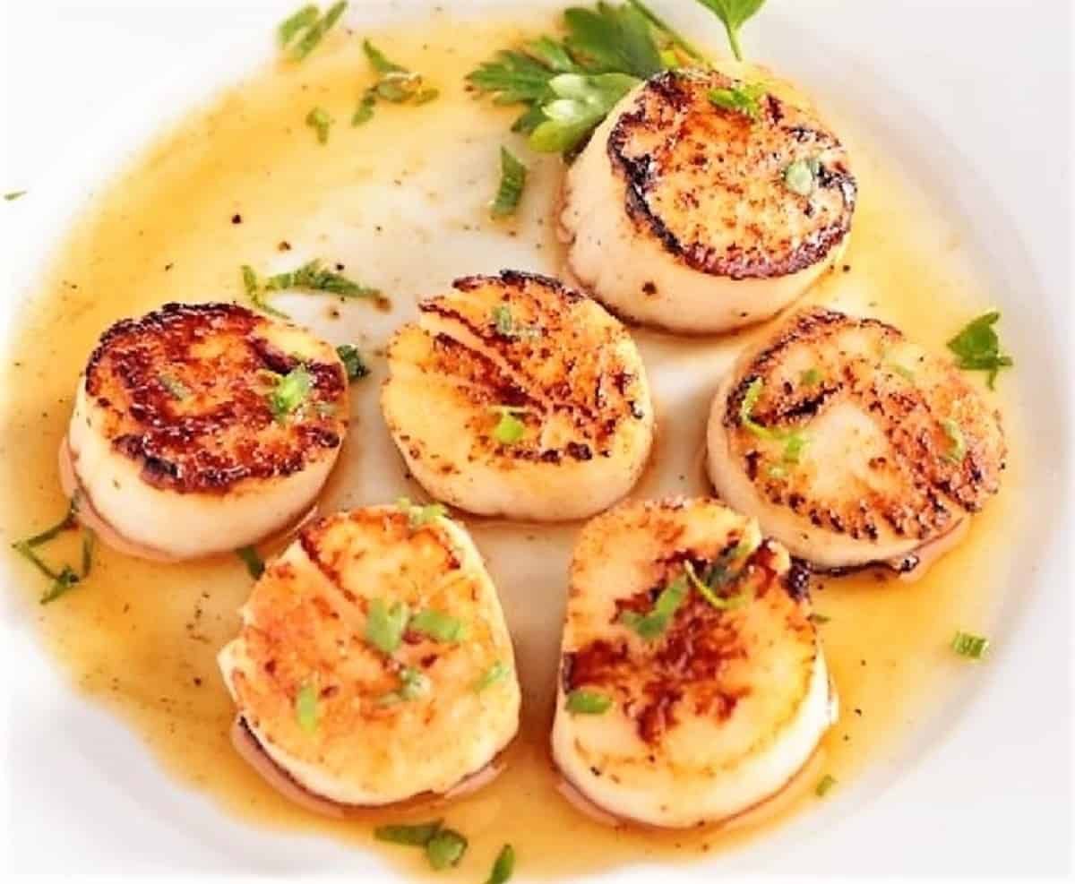 What Does a Scallop Taste Like? Jersey Girl Cooks