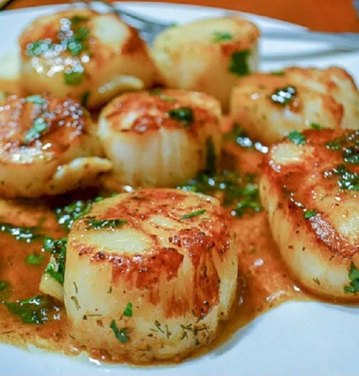 What Does a Scallop Taste Like? Jersey Girl Cooks