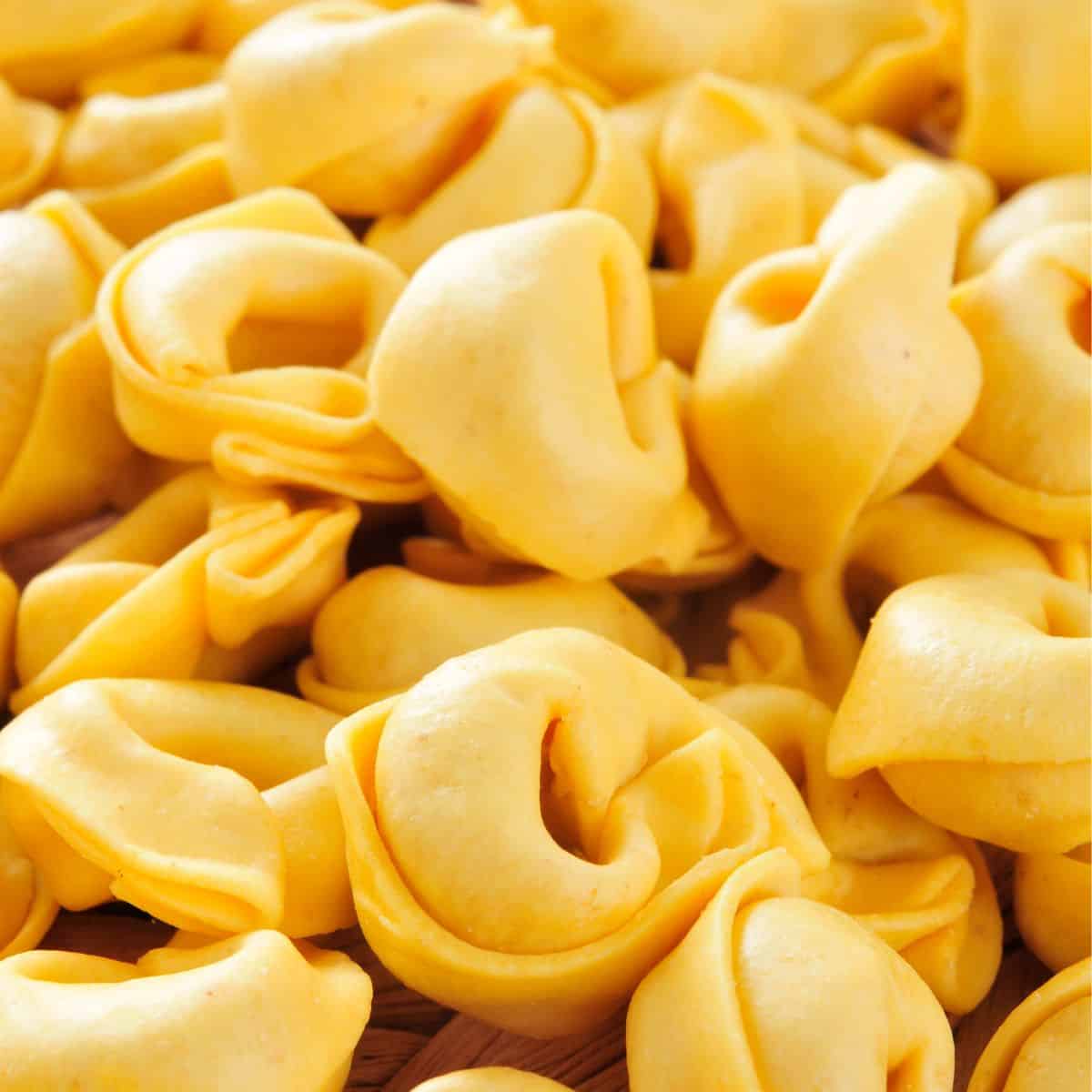 Tortellini Pasta Tortellini Pasta