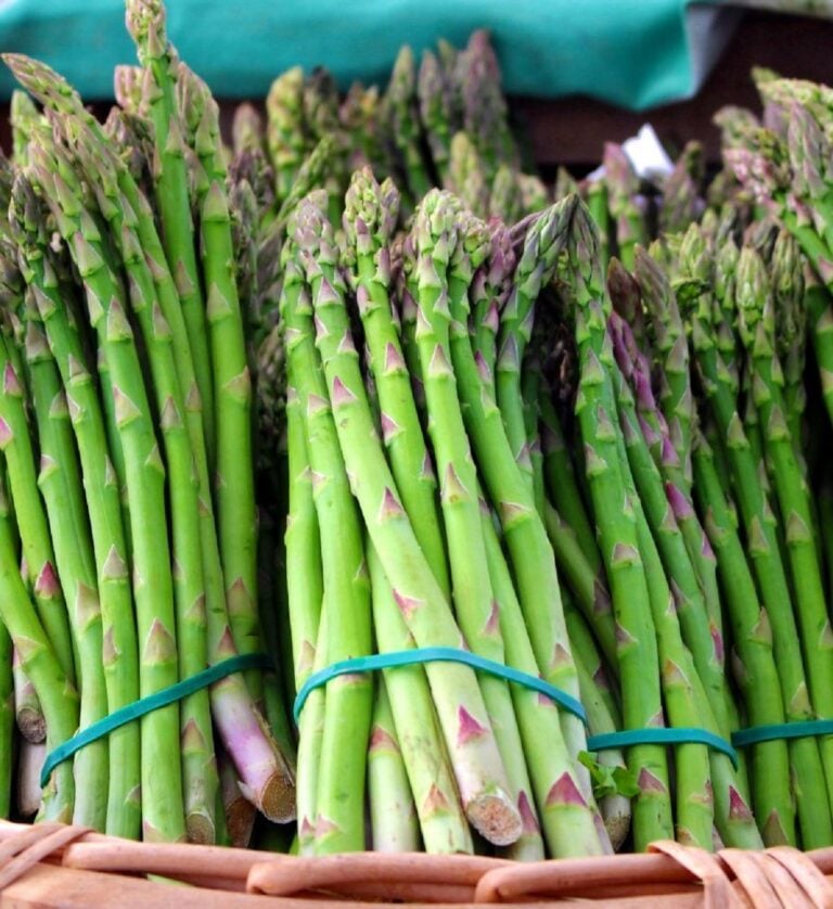 Grilled Asparagus in Foil Jersey Girl Cooks