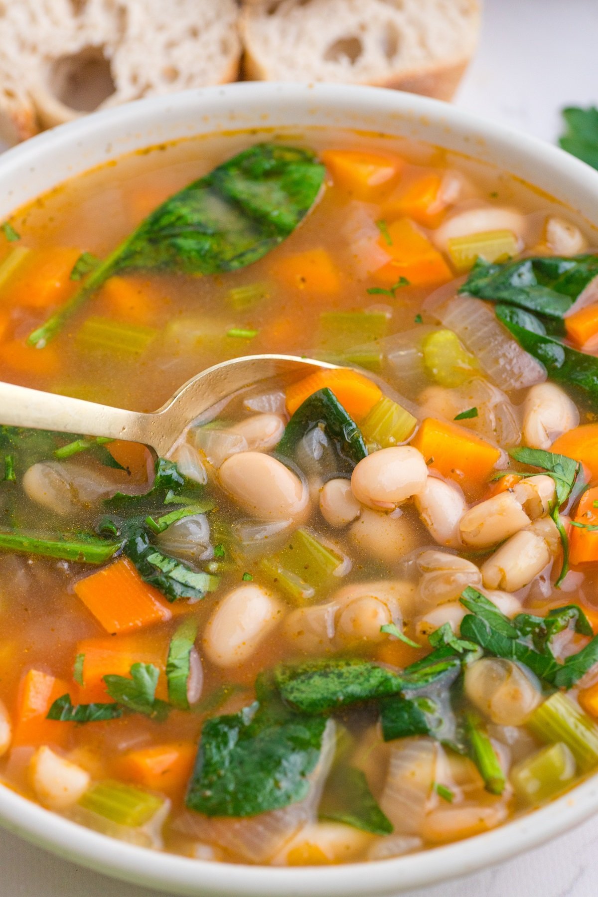 A spoon in a bowl of tuscan white bean soup.